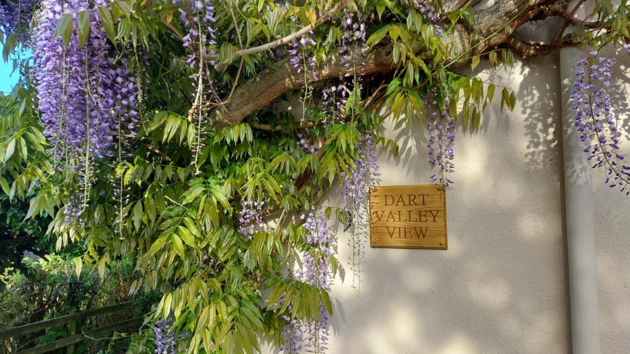 Dart Valley View Staverton  Exterior photo
